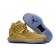 Air Jordan 32 XXXII PE / Gold